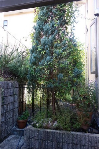 �ӥե����ֻܹ�����