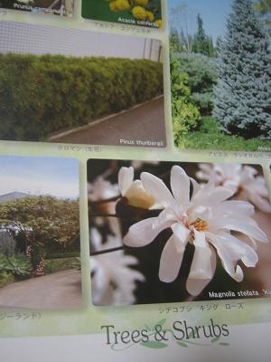 ������������ʪ