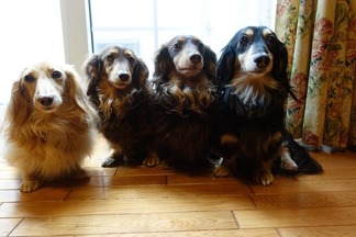 ���å����ե��4ɤ