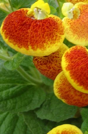 �����𡦡�������㤯����