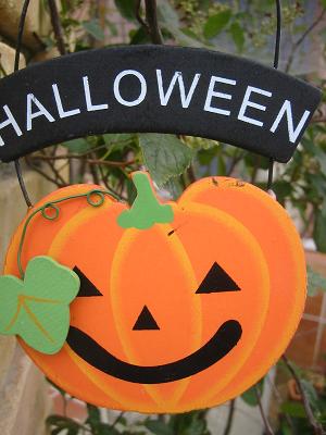 �ϥ���������