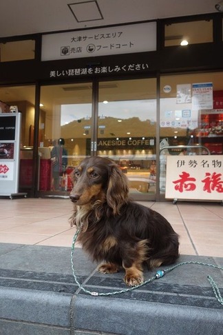 ��ǰ����