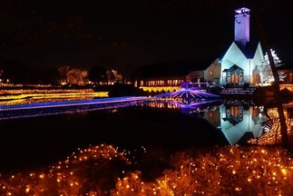 ��奤��ߥ͡������