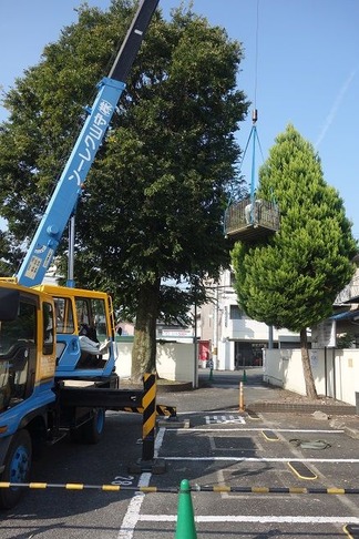 �������