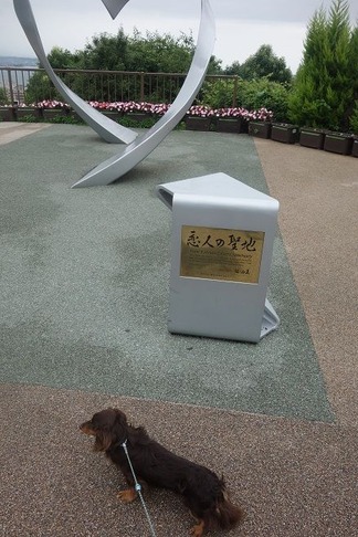 ���ͤ����ϣ��ܥ�