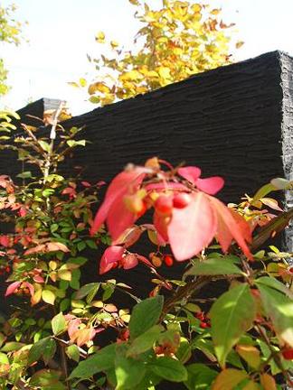 ���դ����Ʋ���