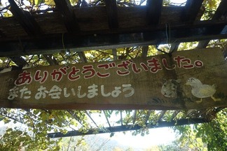 池田牧場ジェラート