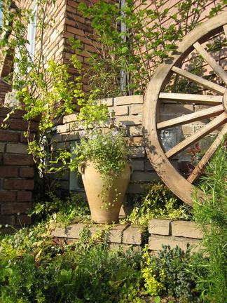 ����Τ�Υƥ饳�å��ݥå�