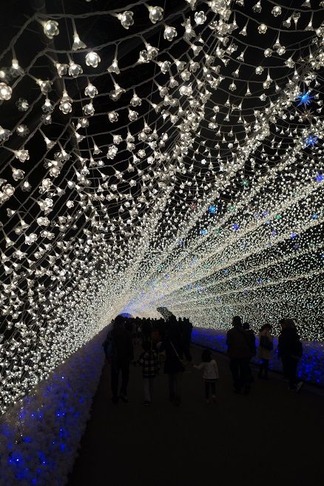 ���Υȥ�ͥ�