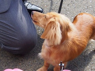 ���å����ե��