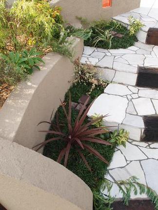 ���ץ������Ƥ�̤뿢ʪ����