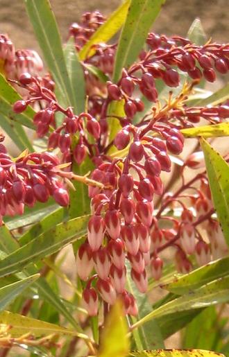 ��奦���奦������