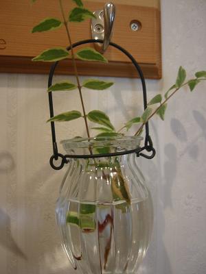 ���٥ꥢ�ۡ��ץ쥤��