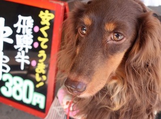 飛騨牛串