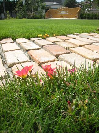 �����ǥ󥹥ơ�����į���