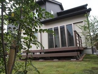 ���ޥȥͥꥳ�ۤ���į���