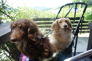 ���ե���������