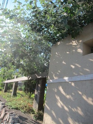 ���̤�¤��