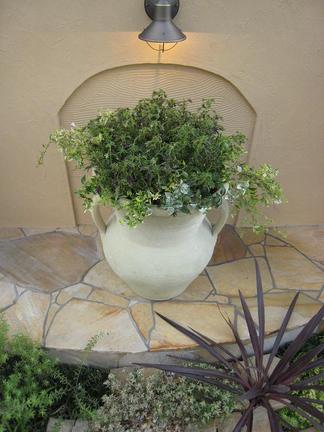 ������򸫲�������