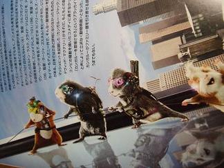 ���ѥ������˥ޥ�֣ǥե�������