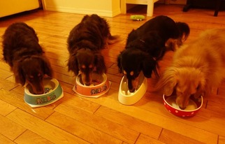 ���å����ե�ɣ�ɤ