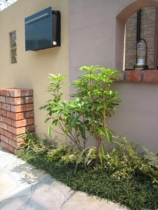 ���ڿ���