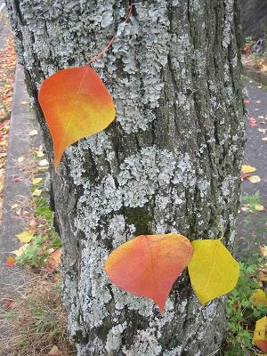 ���ˡ�����