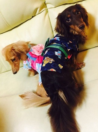 夏服