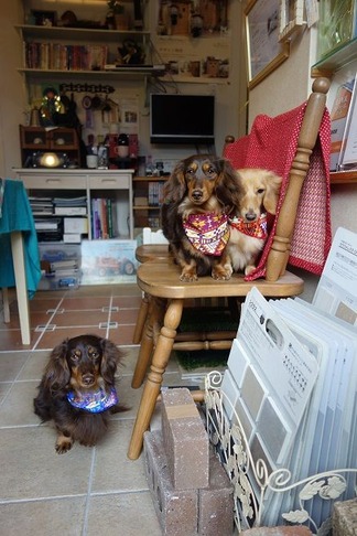 ��̳����