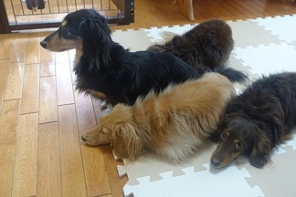 ���å����ե��