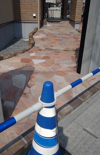 ���ץ�����