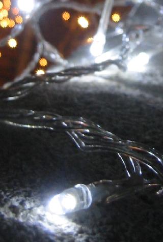 �ŵ塦����