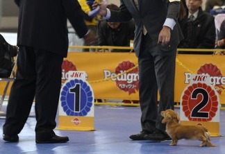 �٥��ȥ��֥֥꡼��