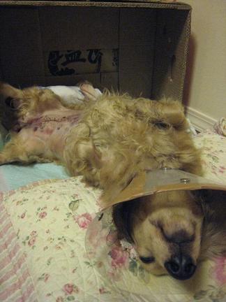 �ౡ�����Ф���κ�