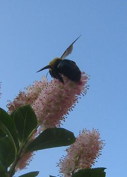 ˪�����ϥ�