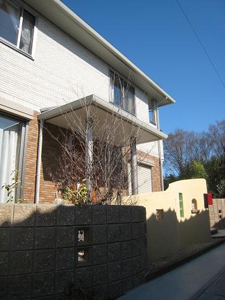 ����ȥ�󥹤ηʿ�