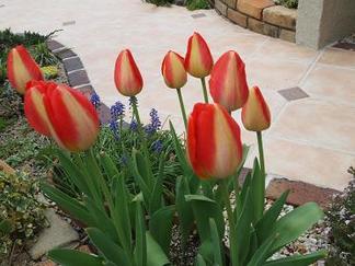 ���塼��å�