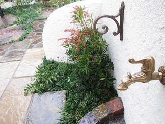 �ɥ饴��μظ�