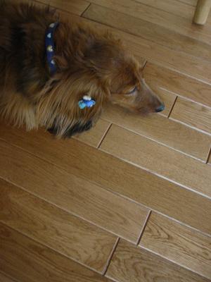 �������顦��