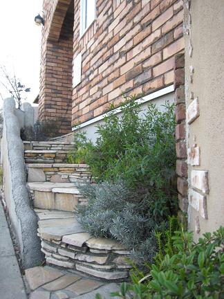 �������Ѥߤγ���