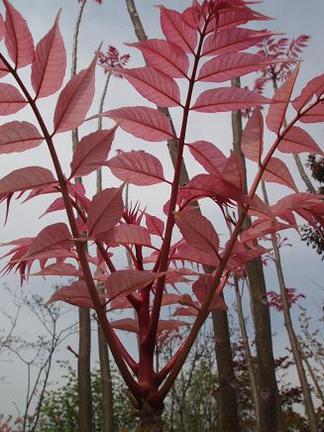 �������󡡥ե�ߥ�