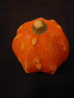 �ߥˤ��ܤ���