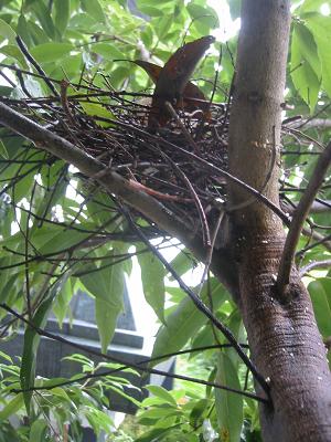 Ļ���㡦����