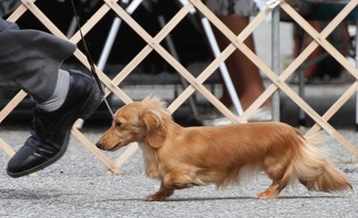 ���Ϳ���