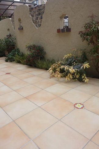 ��������줿��