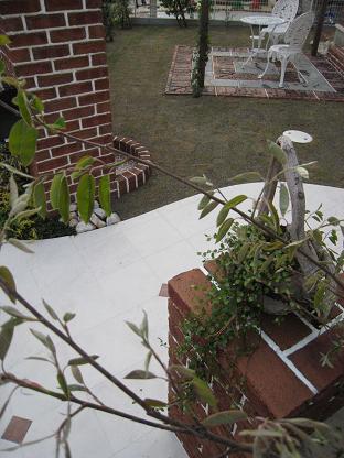 ����������