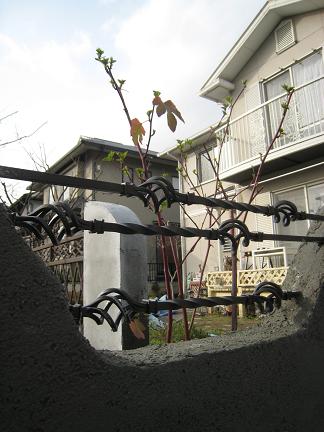 ��������ե��󥹤ξ���