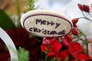 merry christmas