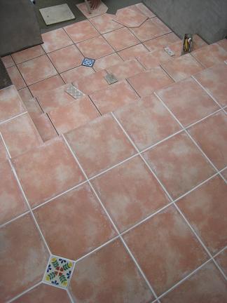 ������ʬ�Υ�����Ž��