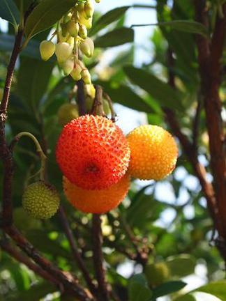 �������Υ�